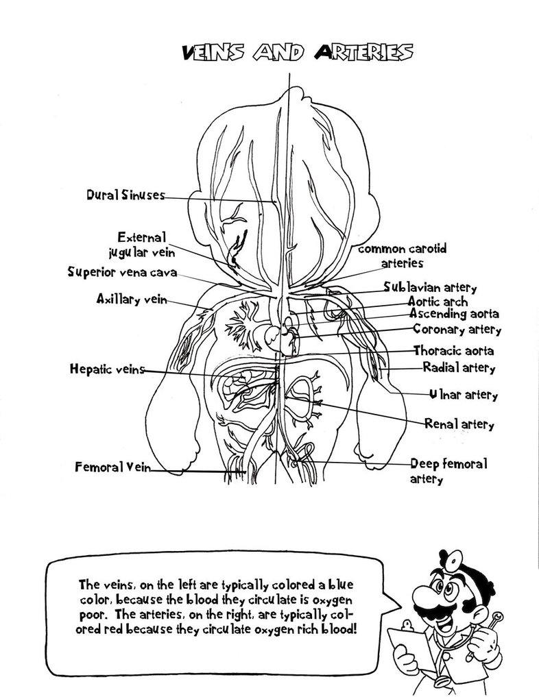 Plansa de colorat cu Biologie 9 66